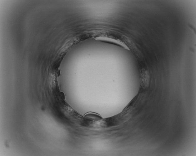 X0000099940333200806061524