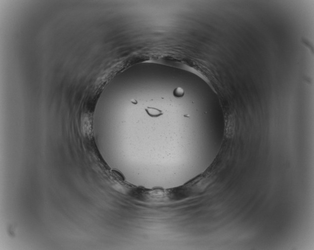 X0000099940335200806061524