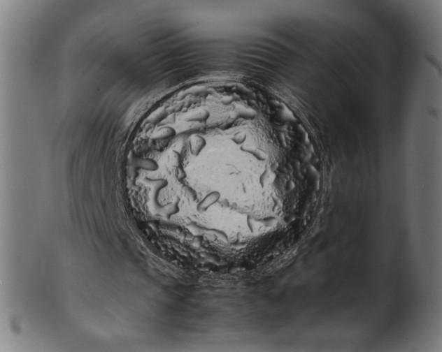 X0000099940337200806061523