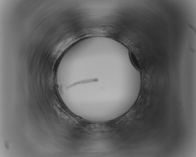 X0000099940338200806061523