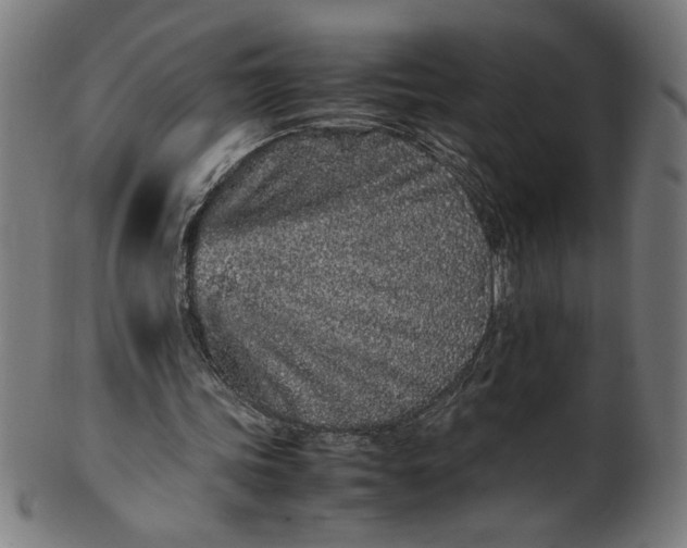 X0000099940339200806061523