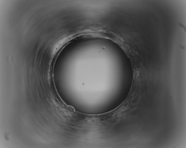 X0000099940340200806061523