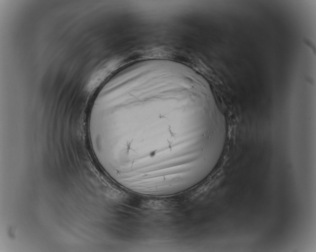 X0000099940341200806061523