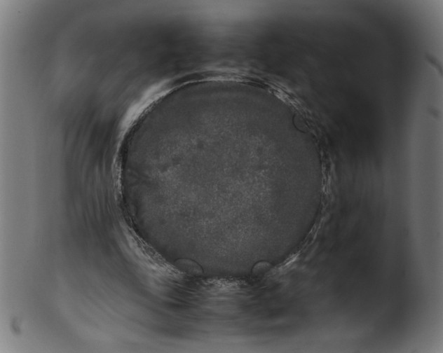 X0000099940343200806061523