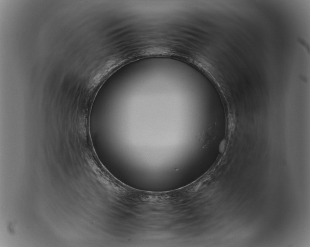 X0000099940345200806061523