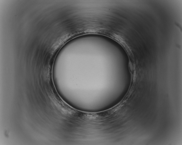 X0000099940346200806061524