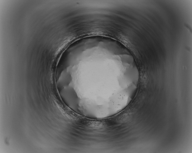 X0000099940347200806061524