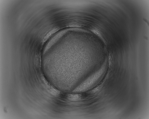 X0000099940349200806061524