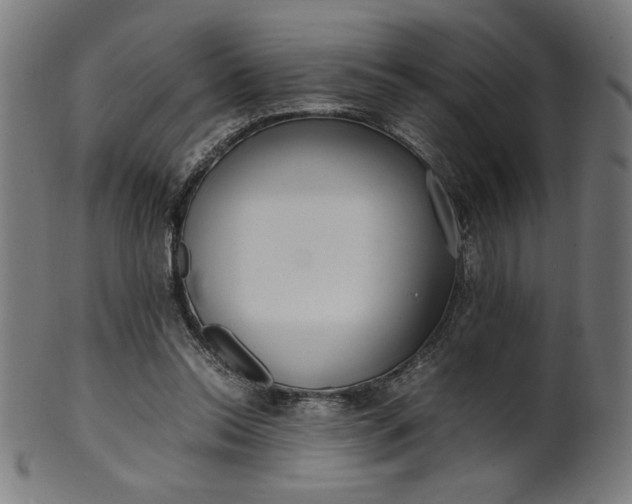 X0000099940350200806061524