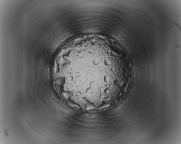 X0000099940351200806061524