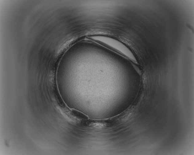 X0000099940352200806061524