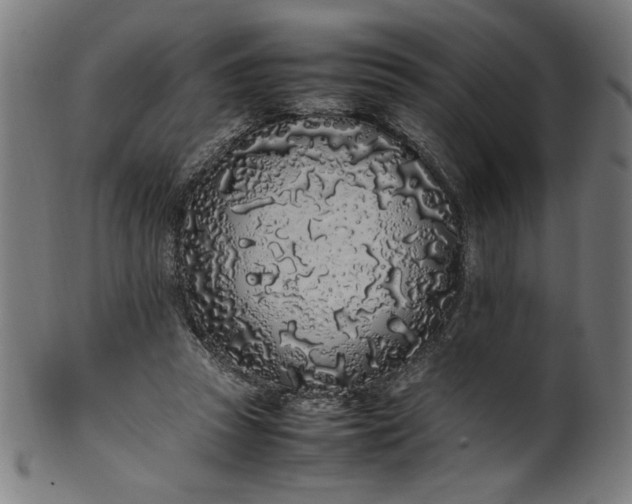 X0000099940353200806061524