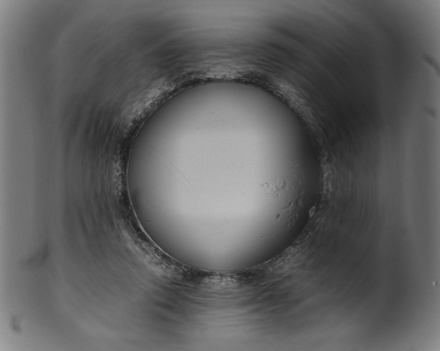 X0000099940354200806061524
