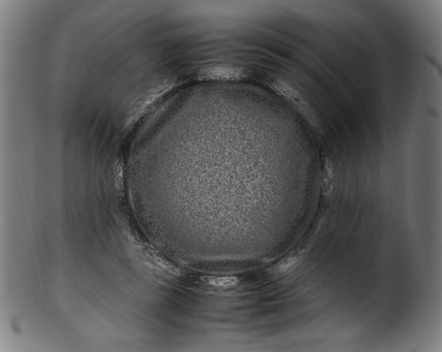 X0000099940355200806061524