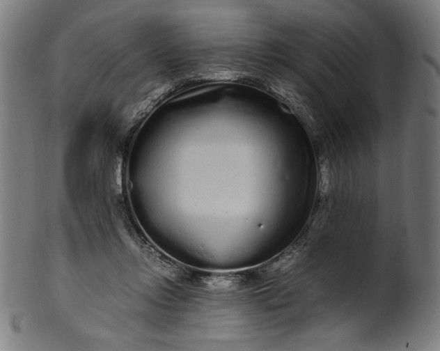 X0000099940358200806061524
