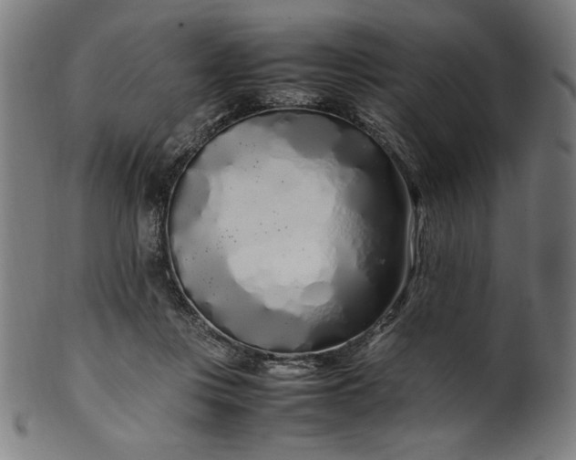 X0000099940359200806061524