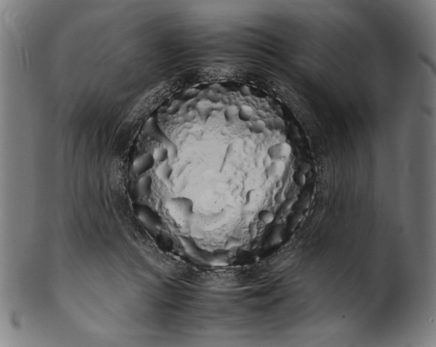 X0000099940361200806061524