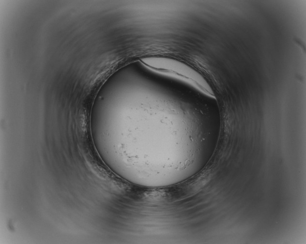 X0000099940362200806061524