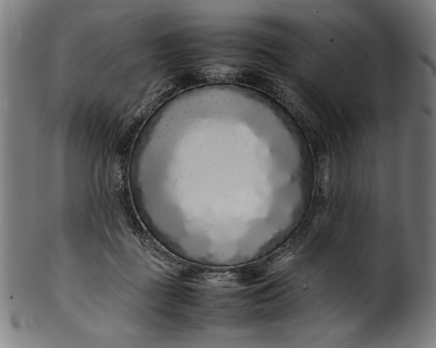 X0000099940363200806061524