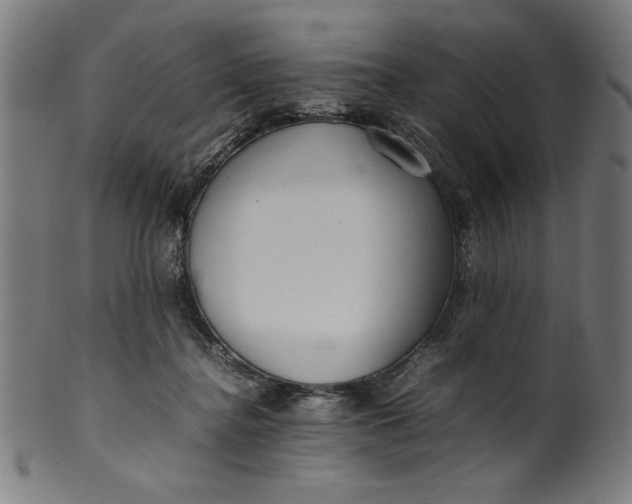 X0000099940364200806061524