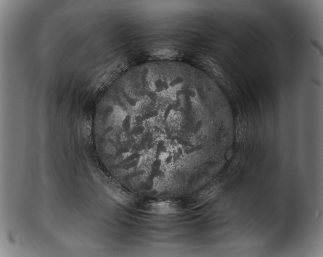 X0000099940365200806061524