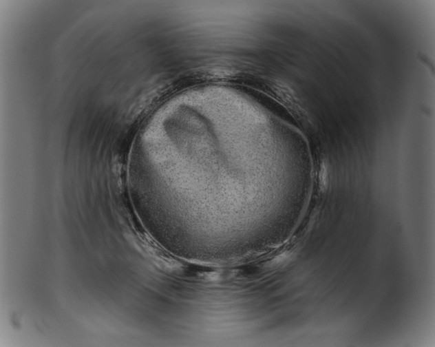 X0000099940366200806061524