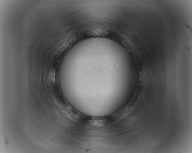 X0000099940368200806061524