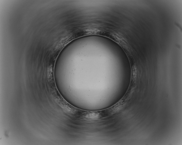 X0000099940369200806061524
