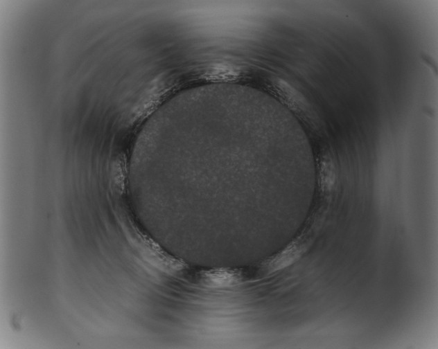 X0000099940370200806061524