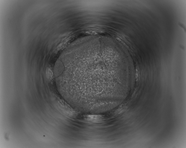 X0000099940371200806061524
