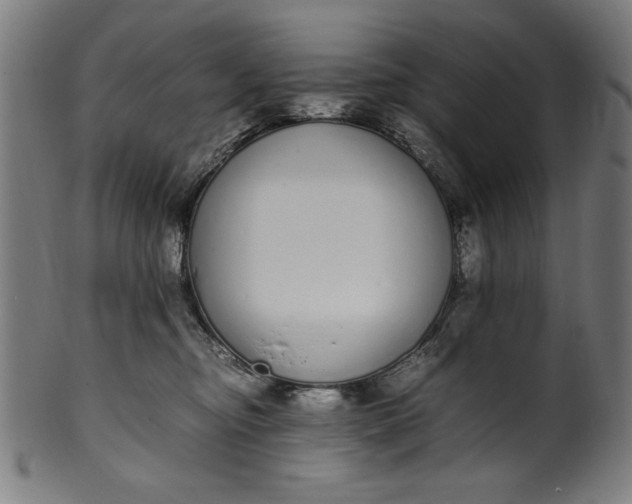 X0000099940374200806061524