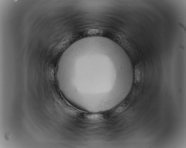 X0000099940375200806061524