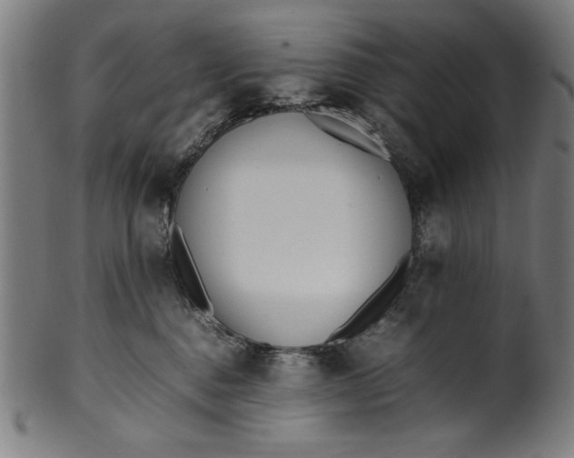 X0000099940376200806061524