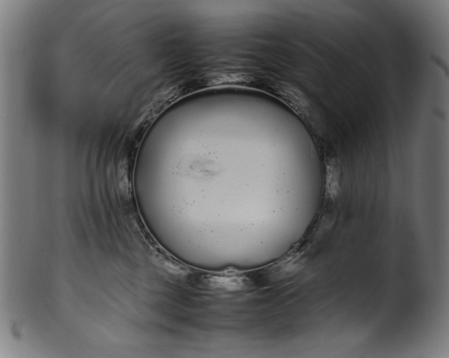 X0000099940377200806061524