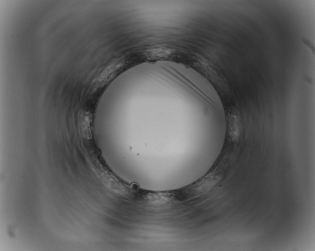 X0000099940378200806061524