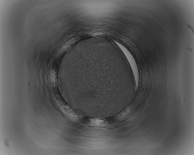 X0000099940380200806061524