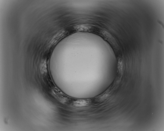 X0000099940381200806061524