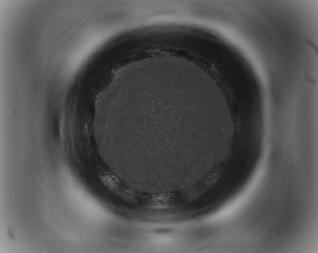X0000099940382200806061524