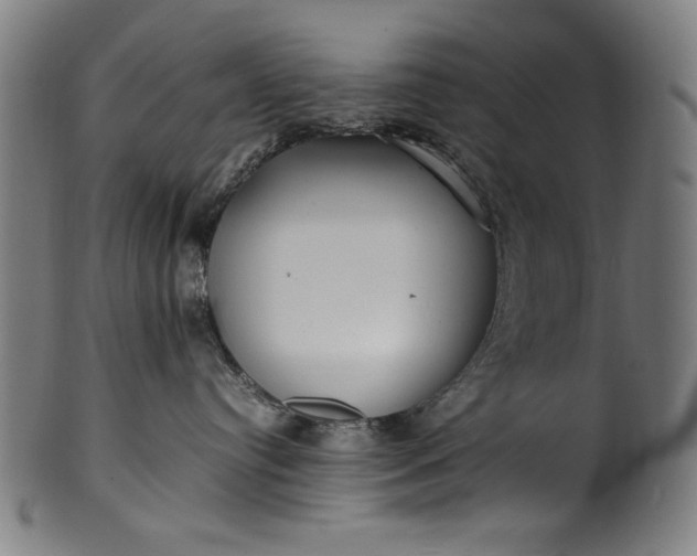 X0000099940384200806061524