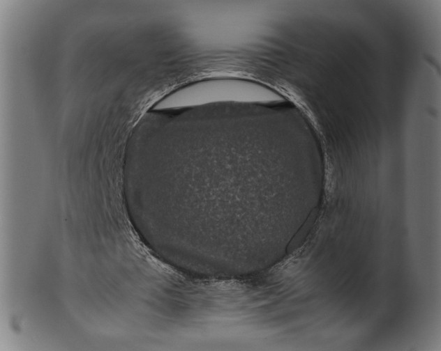X0000099940385200806061523