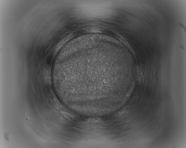 X0000099940386200806061523