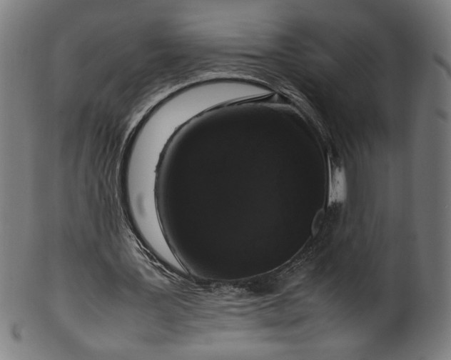 X0000099940387200806061523