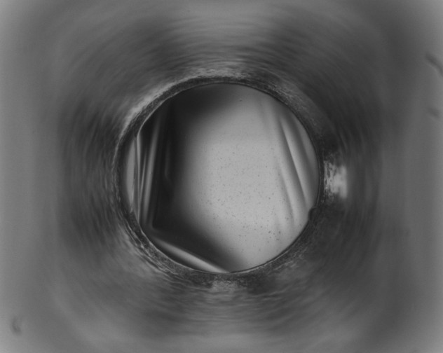 X0000099940388200806061523