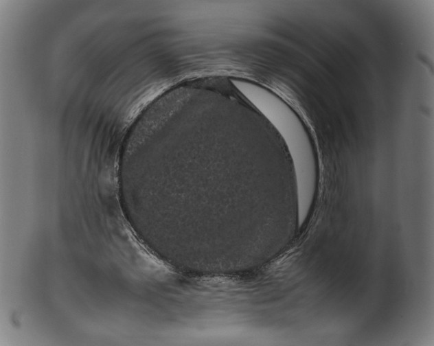 X0000099940389200806061523