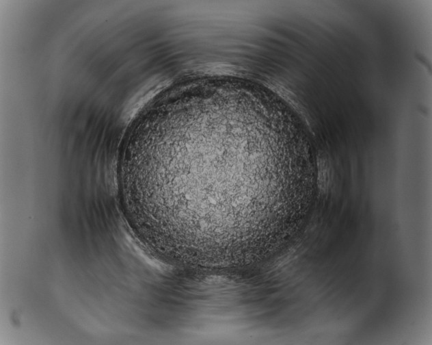 X0000099940390200806061523