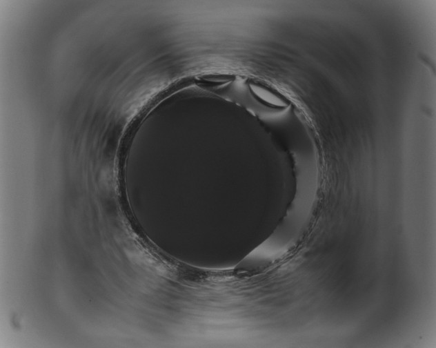 X0000099940391200806061523