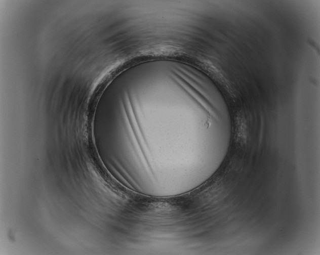 X0000099940392200806061523