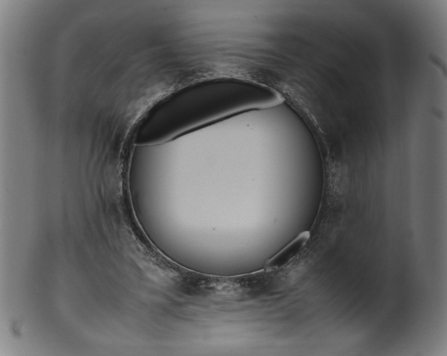 X0000099940395200806061523