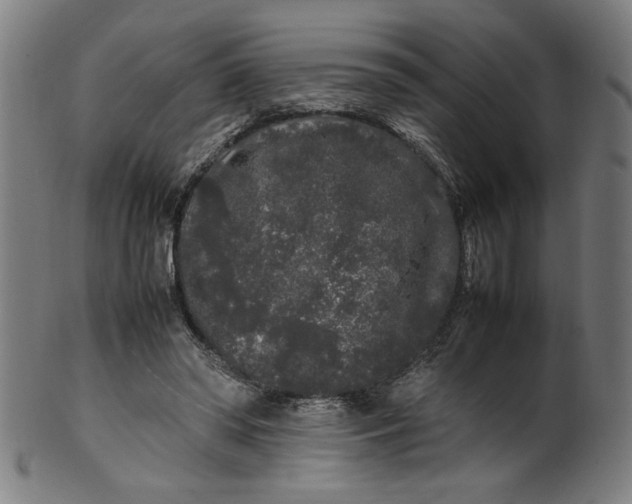 X0000099940398200806061523