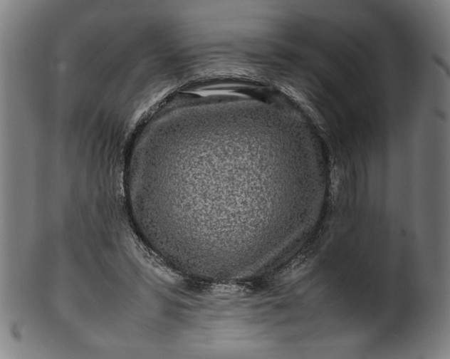 X0000099940399200806061523
